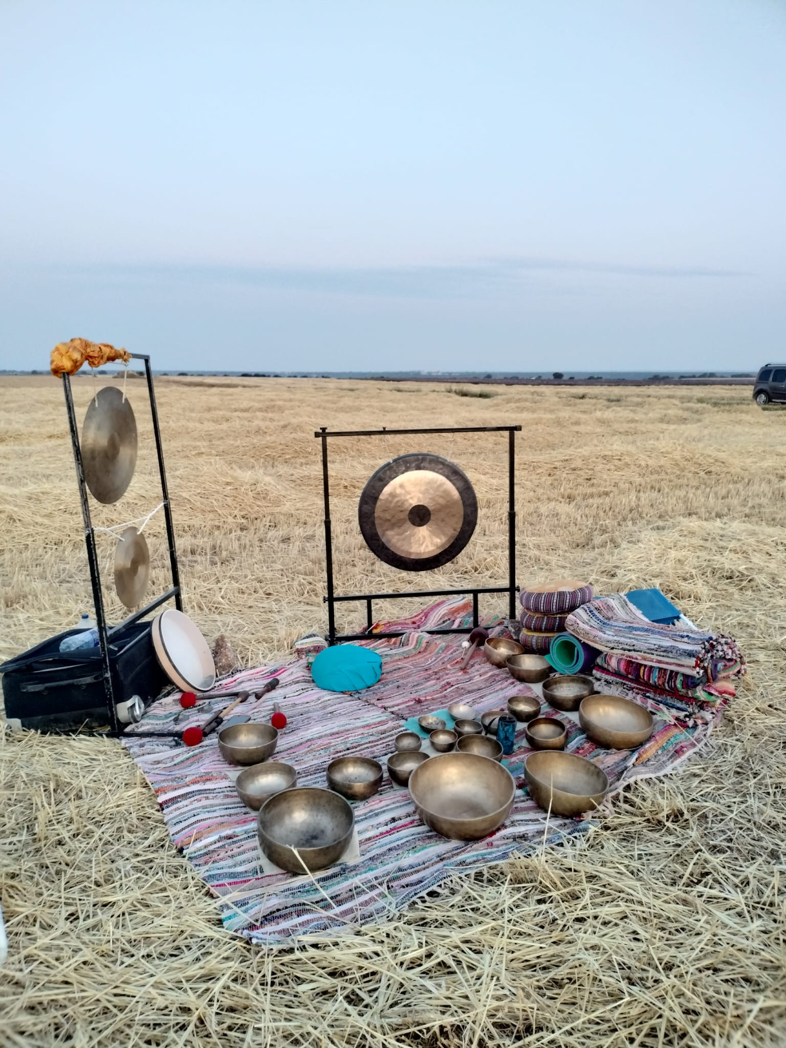 Lee más sobre el artículo Meditación con cuencos tibetanos